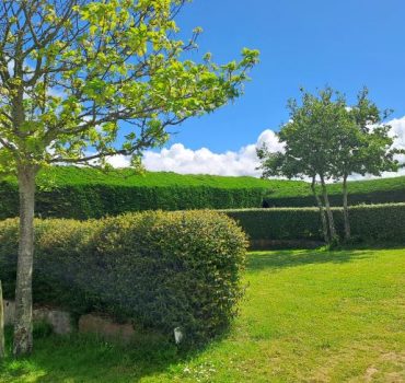 Grands emplacements arborés
