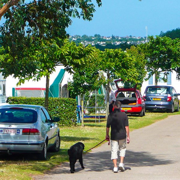 camping les roches emplacement camping camping car cotes d’armor 19 camping les roches emplacement camping camping car cotes d'armor